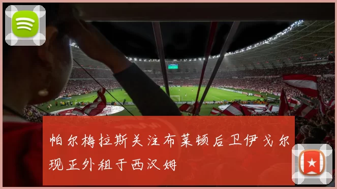 帕尔梅拉斯关注布莱顿后卫伊戈尔现正外租于西汉姆
