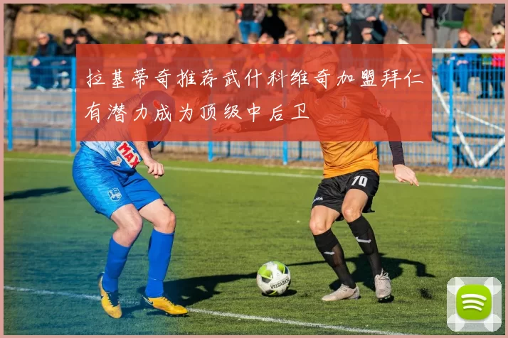 拉基蒂奇推荐武什科维奇加盟拜仁有潜力成为顶级中后卫