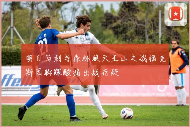 明日马刺与森林狼天王山之战福克斯因脚踝酸痛出战存疑