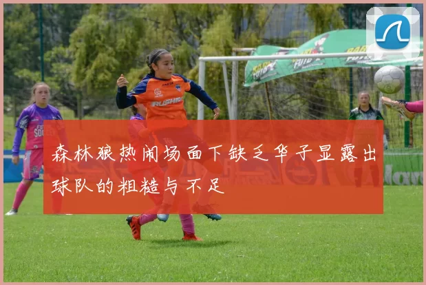 森林狼热闹场面下缺乏华子显露出球队的粗糙与不足